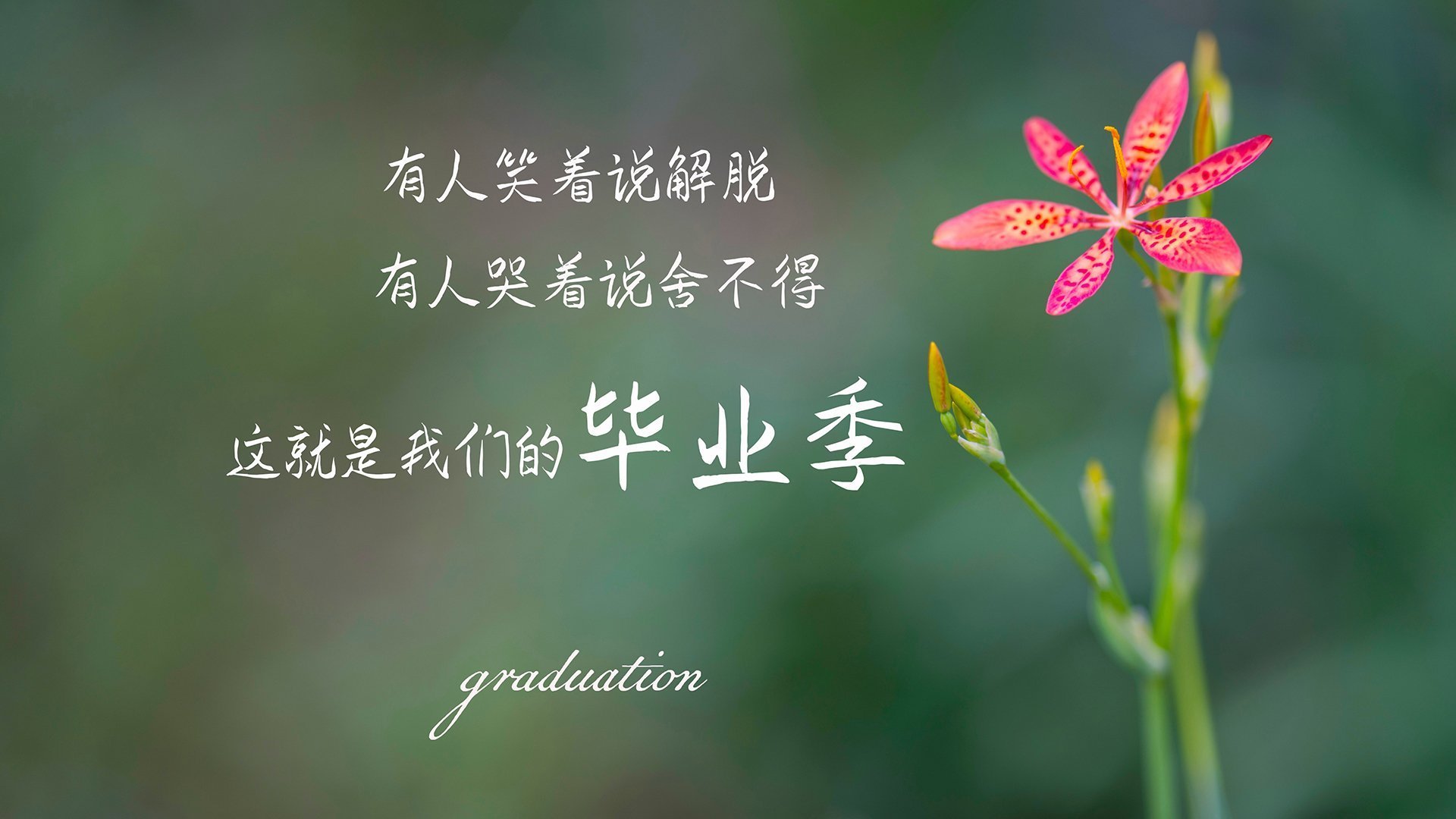 Kaiyun APP-“青训产业化发展步伐加快，行业生态逐步优化”，青训概念