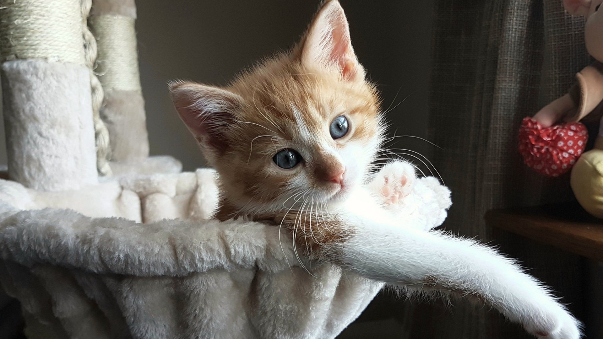 kaiyun开云·官方网站-五大联赛红黄牌分布与比赛风格对比，五大联赛最快红牌