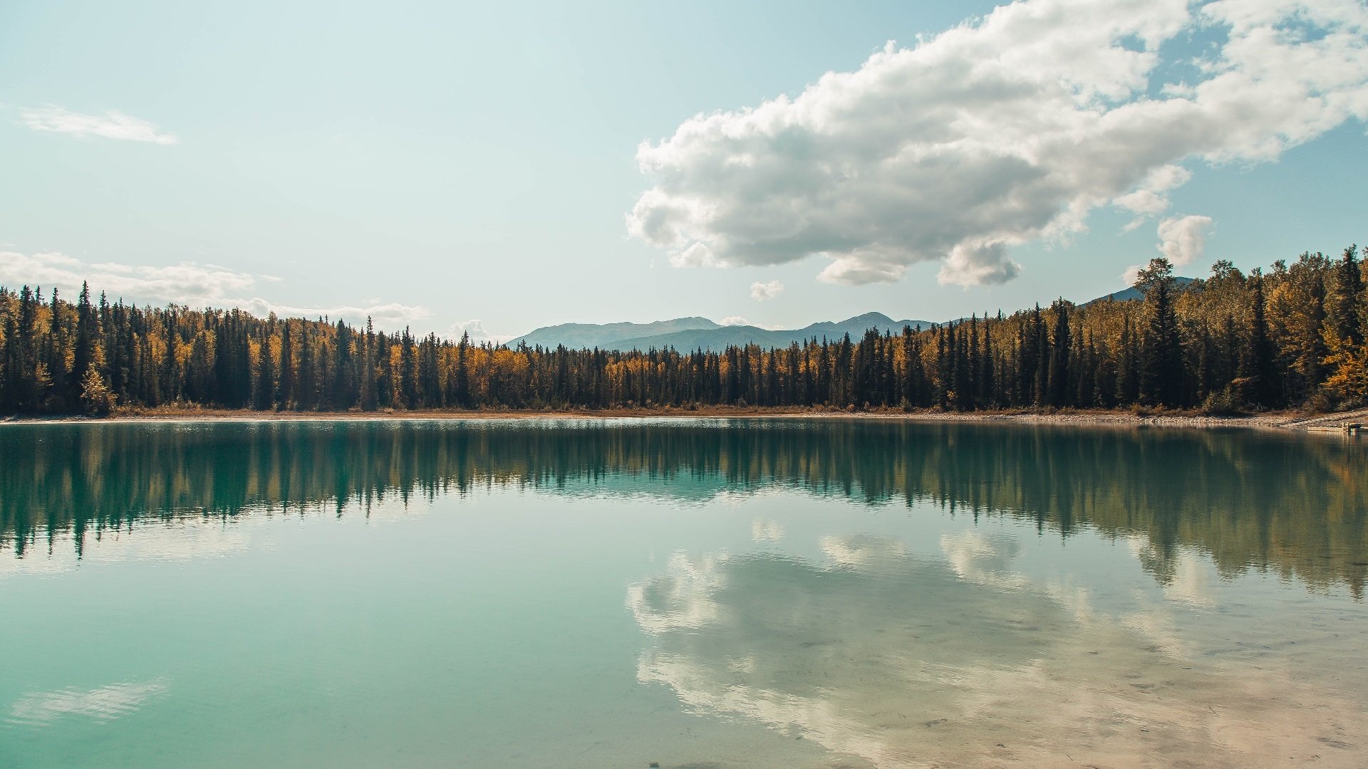 kaiyun-国家女篮与海外球队热身检验训练成果，女蓝国家队