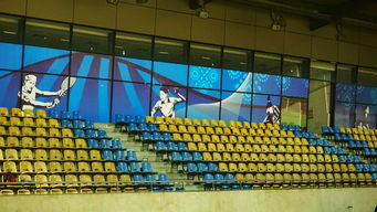 开云官网APP下载-新加坡队未来计划：建立更完善的青少年乒乓培养体系，新加坡乒乓球运动