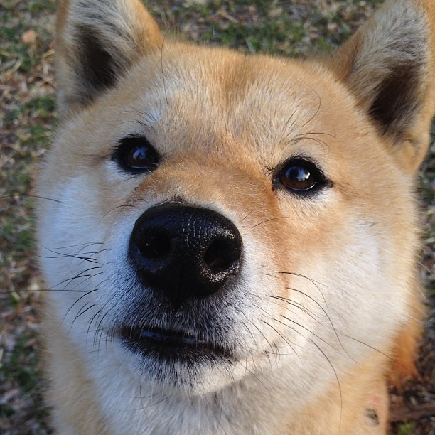 开云官网-王者荣耀战术视频教程热度高玩家受益匪浅,王者荣耀战术交流怎么设置
