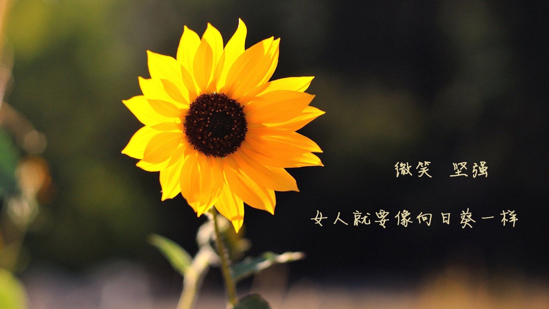开云体育网页版入口-王者荣耀选手直播时泄露战术战队紧急处理,王者荣耀选手直播时泄露战术战队紧急处理的信息