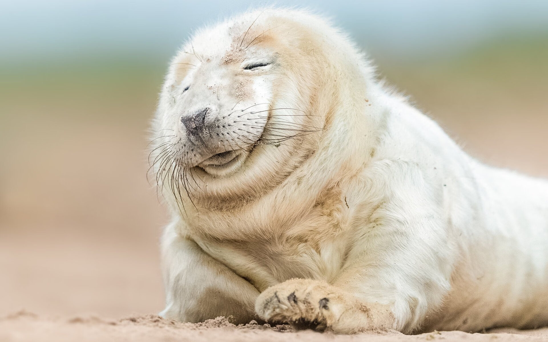 开云体育网页版入口-平台上线战术互动模块球迷可模拟排兵布阵提升参与体验,足球战术模拟